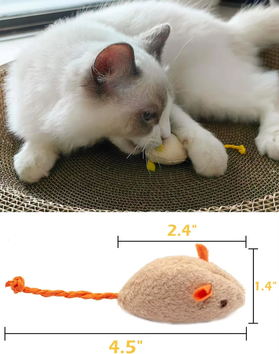 실리콘 플라잉 디스크 장난감 다기능 애완견 훈련 장난감 - Flying Disc Dog Training Toy 리뷰 및 가격