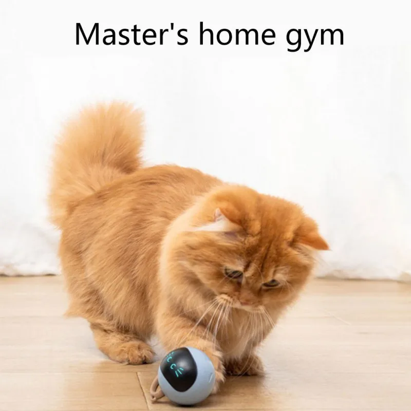 인터랙티브 고양이 공 장난감 USB 충전식 자동 이동  - Automatic Moving Dog Ball 리뷰 및 가격