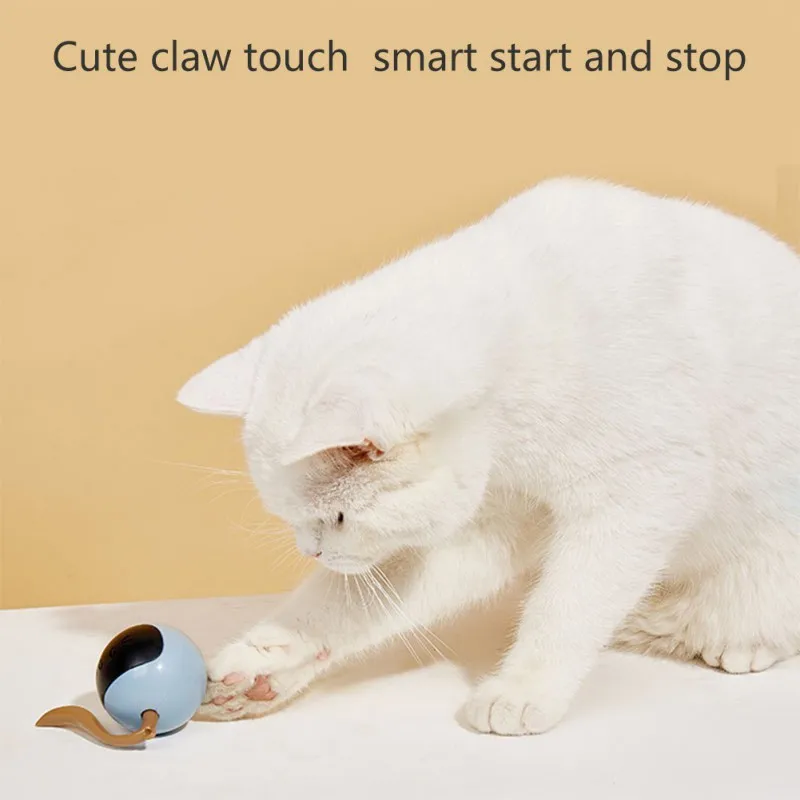 인터랙티브 고양이 공 장난감 USB 충전식 자동 이동  - Automatic Moving Dog Ball 리뷰 및 가격