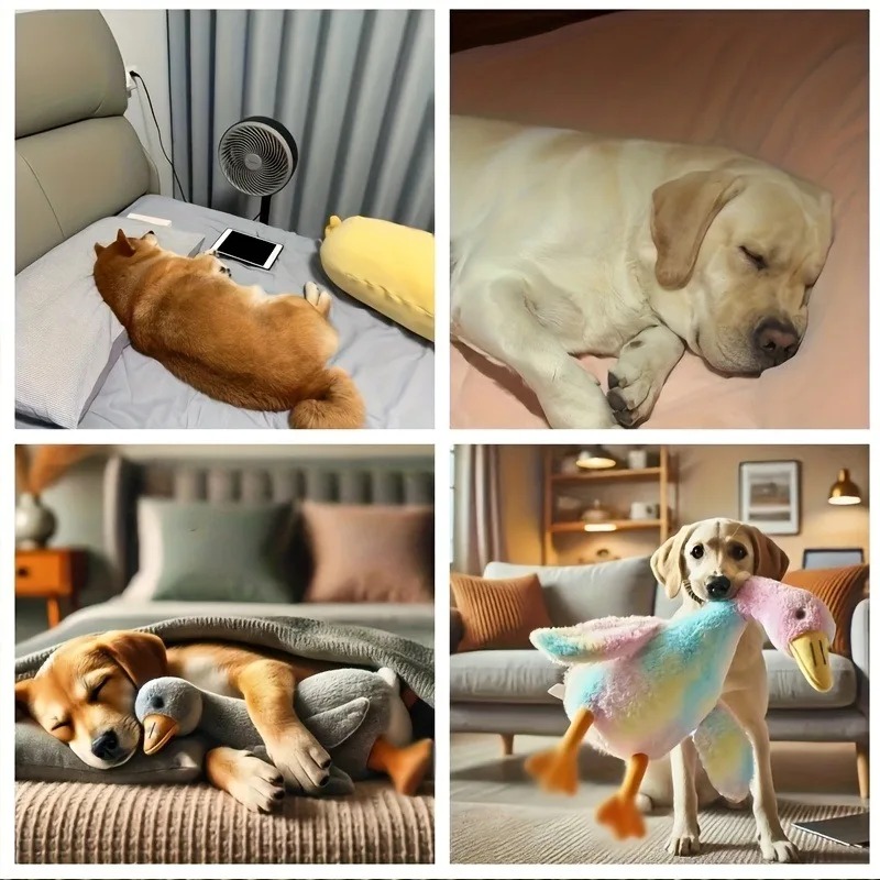50cm 부드러운 컬러풀 오리 플러시 장난감 고양이 강 - Interactive Squeaky Plush Dog Toy 리뷰 및 가격