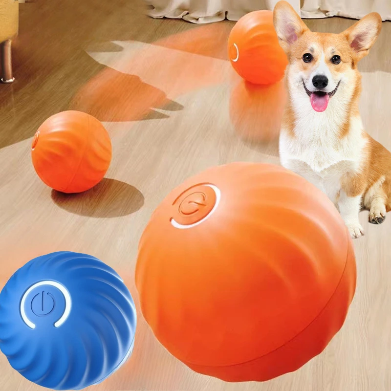 SS 애완동물용 장난감 공, 자동으로 움직이는 강아지  - Automatic Moving Dog Ball 리뷰 및 가격