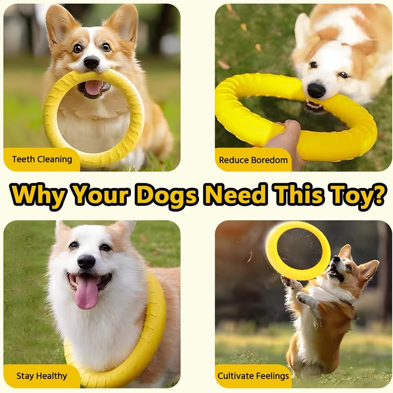 강아지 장난감 애완견 플라잉 디스크 EVA 강아지 훈련 - Flying Disc Dog Training Toy 리뷰 및 가격