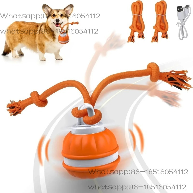 스마트 강아지 장난감, 움직임 감지 자동 이동 삑삑이  - Automatic Moving Dog Ball 리뷰 및 가격