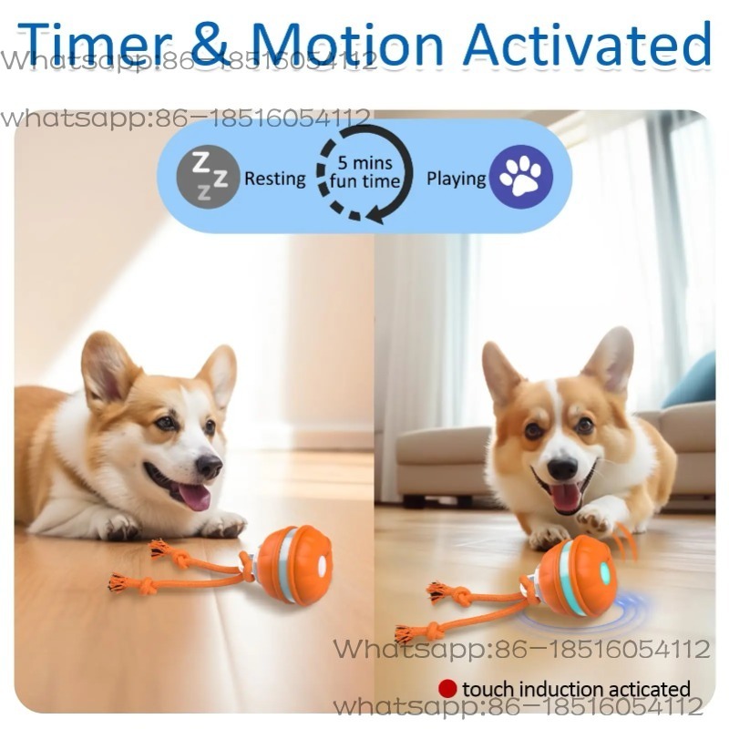 스마트 강아지 장난감, 움직임 감지 자동 이동 삑삑이  - Automatic Moving Dog Ball 리뷰 및 가격